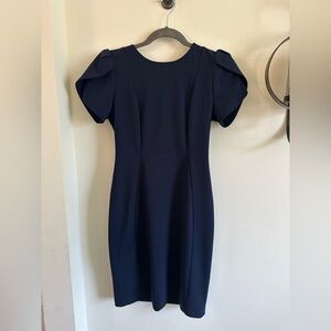 Calvin Klein Tulip Sleeve Sheath Knee length Dress